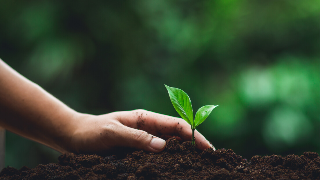 Image Branding Groupe Bordet