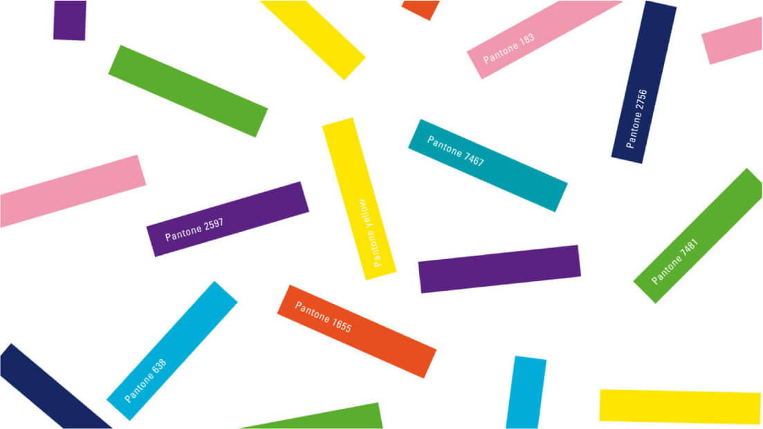 Image Branding SPORTS ETUDES ACADEMY